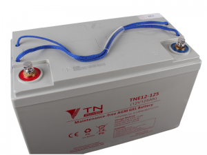 TN Power AGM Battery - 125Ah (TNE 12-125)